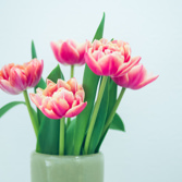 妊婦歯科検診のイメージ